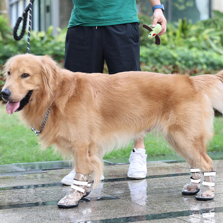 Transparent Pet Rain Shoes