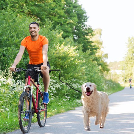 Hands-Free Cycling Leash