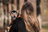 Pet Motorcycle Helmet