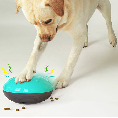 Vocal Food Training Dog Toy