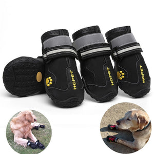 Paw Waterproof Shoes