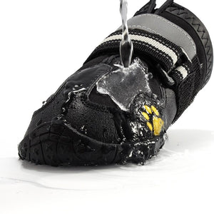 Paw Waterproof Shoes