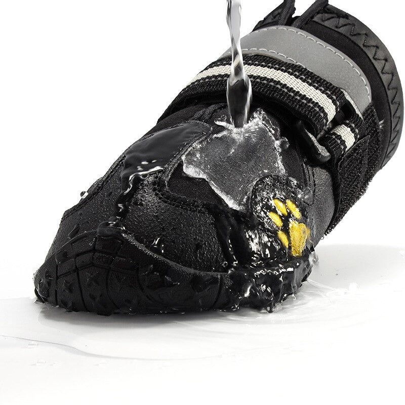 Paw Waterproof Shoes