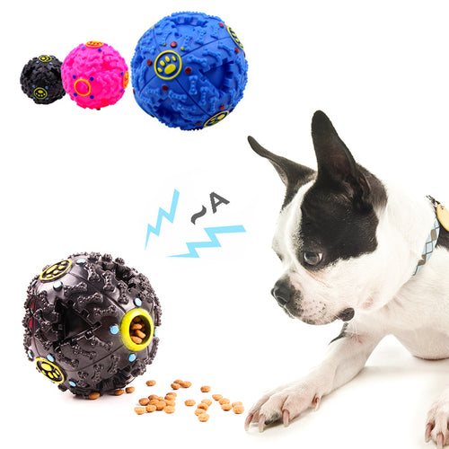 Tricky Treat Pet Ball