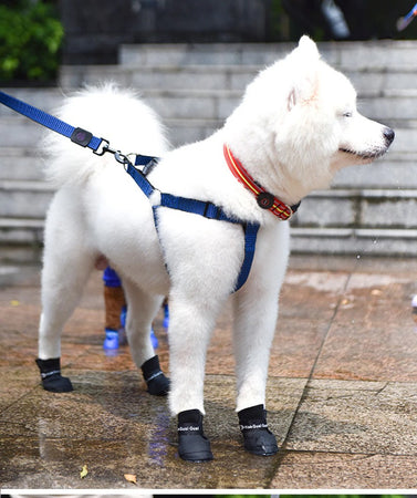 Silicone Pet Rain Boots
