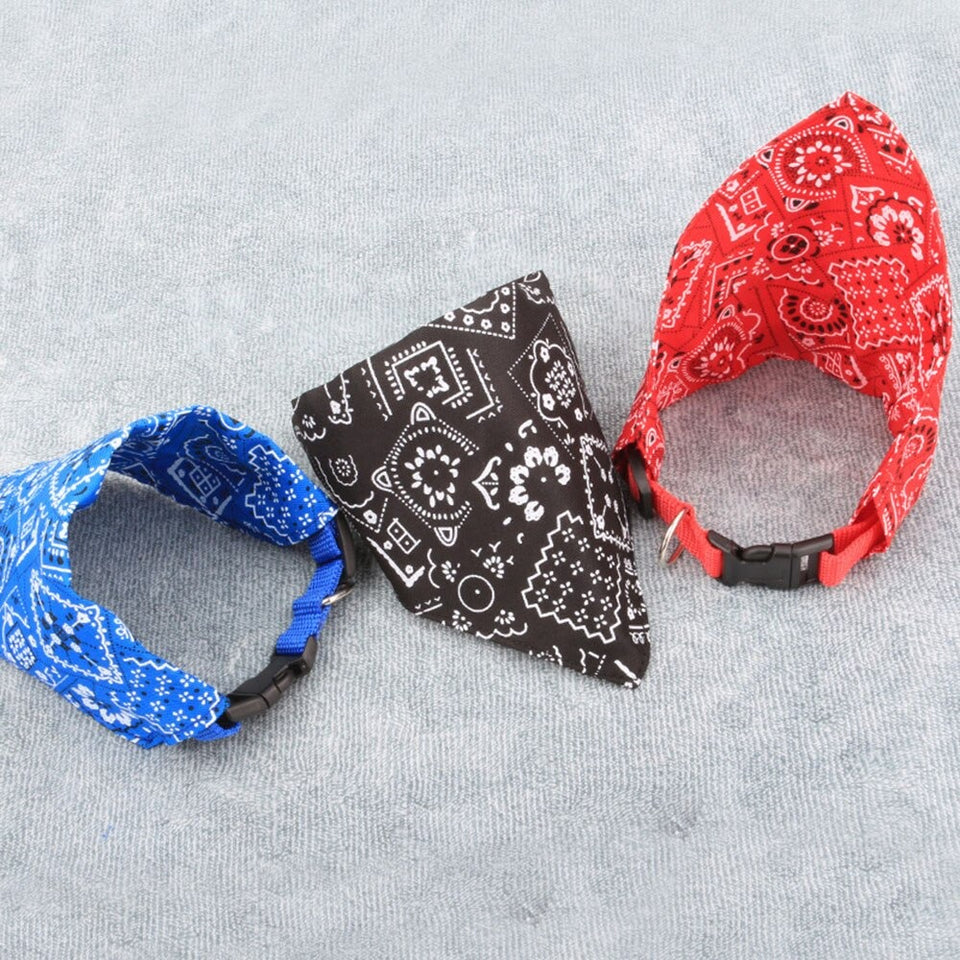 Printed Bandana