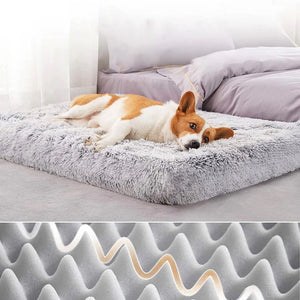 Furry Bed for Furry Friend
