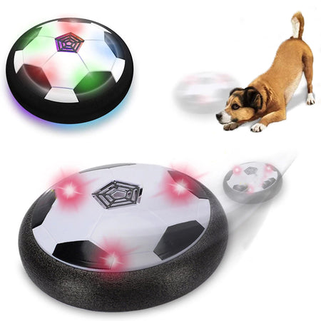 PET SOCCER BALL - SMART PLAY