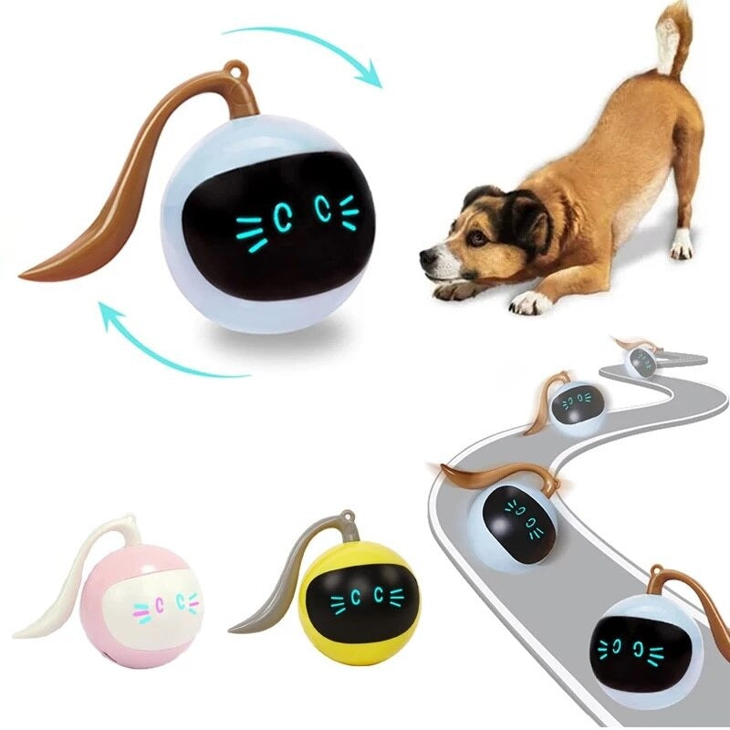 Self Rotating Magic Ball For Pets