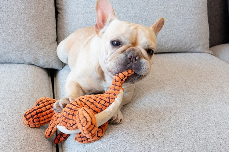 Indestructible Dino Toy for Pets