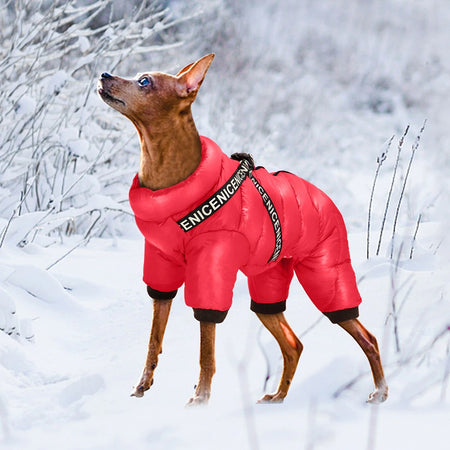 Waterproof Snowflakes Pet Jacket
