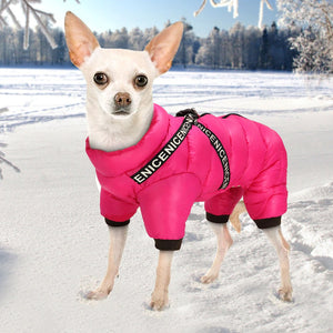 Waterproof Snowflakes Pet Jacket