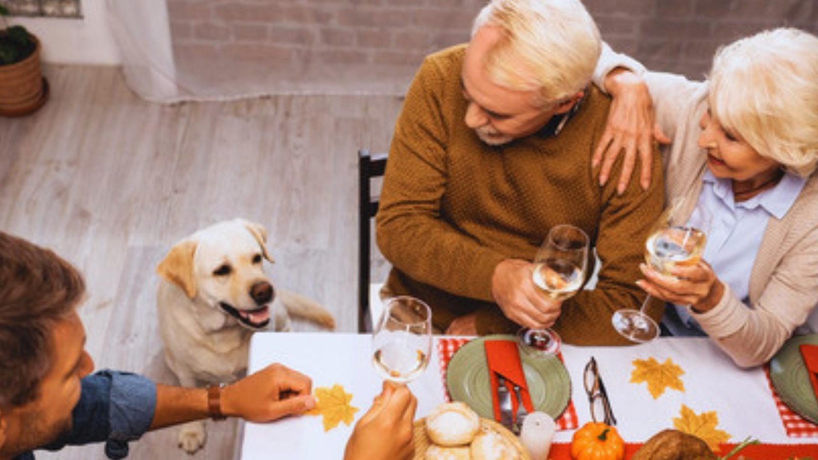 Happy yellow Labrador sits at a fall-themed table watching family toast wine glasses near roasted turkey and pumpkin decorations.