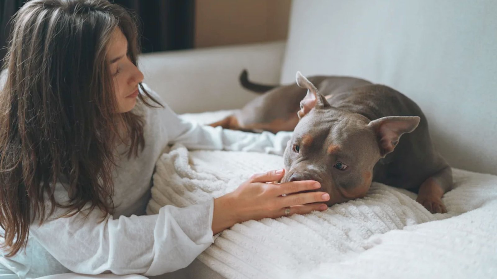 Dog owner comforting a shaking dog indoors while checking for signs of illness.