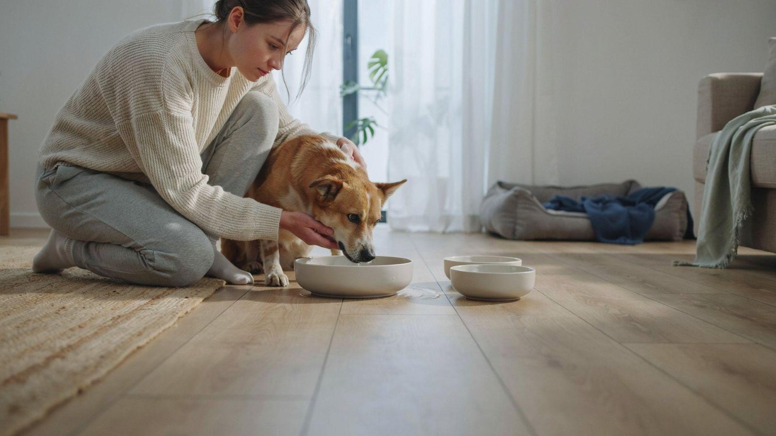 "Dog drinking water while owner encourages hydration during diarrhea recovery in a calm home setting"