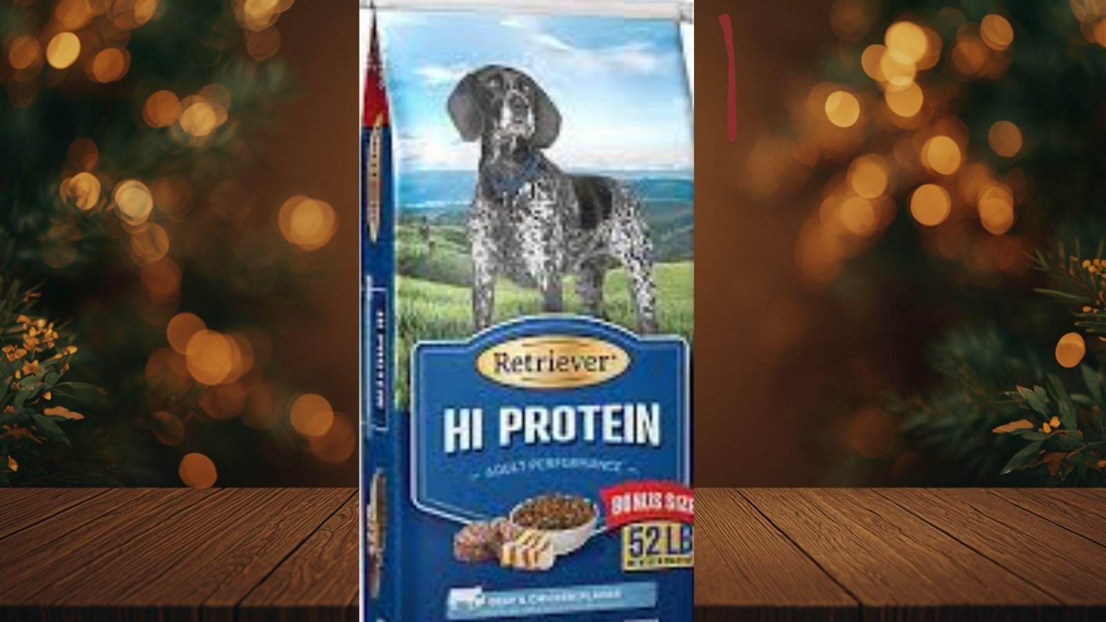 "Retriever Hi Protein adult performance dry dog food 52 lb bonus size bag with German Shorthaired Pointer on festive bokeh background"