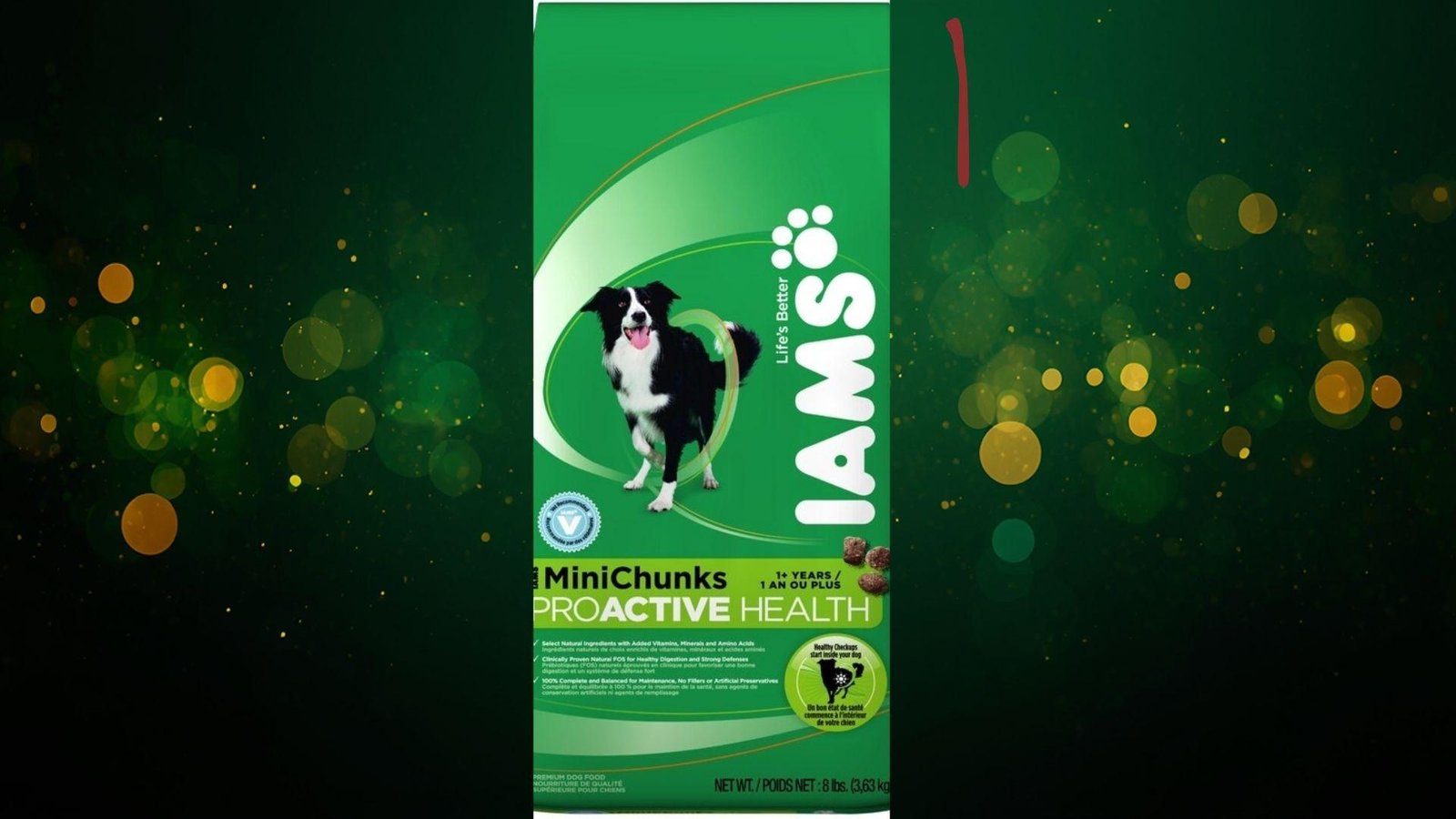 "IAMS MiniChunks Proactive Health dry dog food bag for dogs 1+ years, 8 lbs, featuring a black and white Border Collie on green packaging with gold bokeh background"