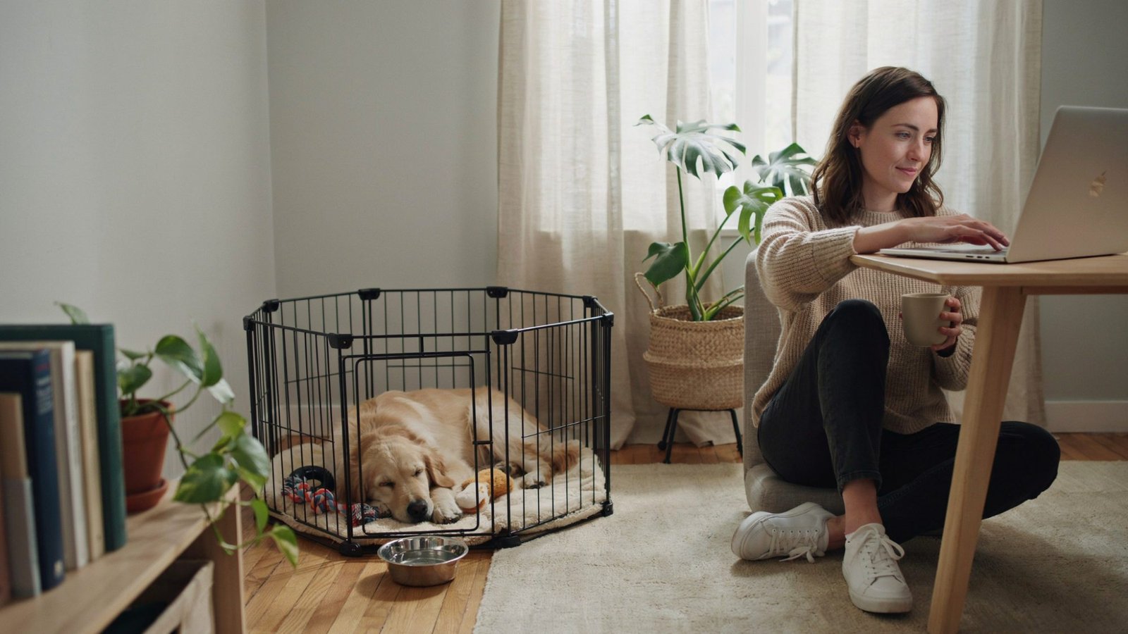 Puppy resting safely while owner works from home.