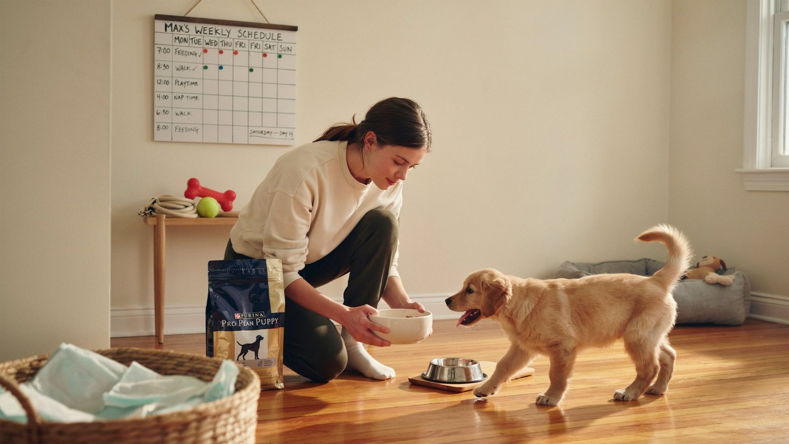 Puppy enjoying a consistent daily routine with meals and playtime.